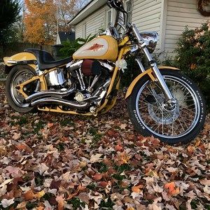 Meet your Posher, Billy